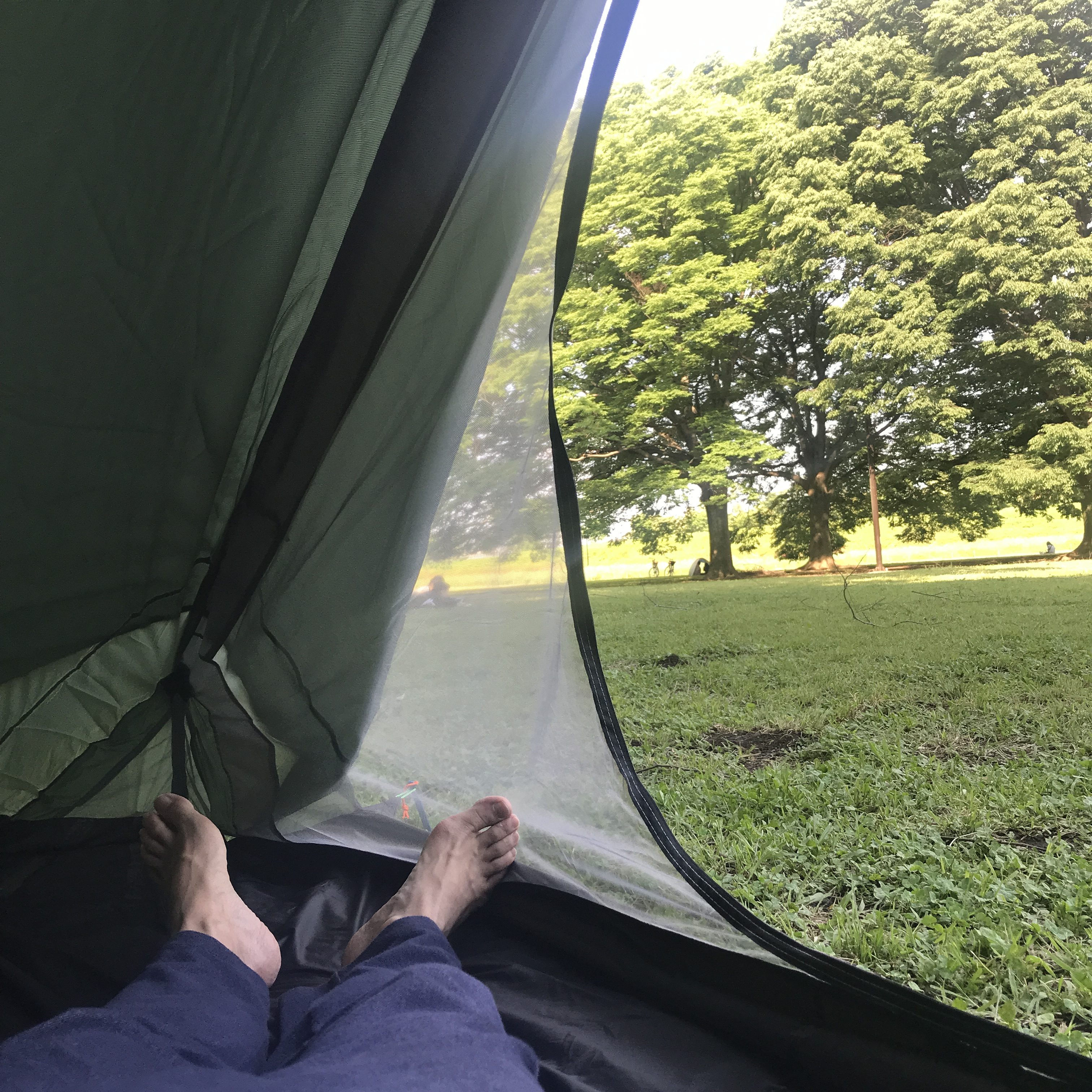 小金井公園でテントを張る