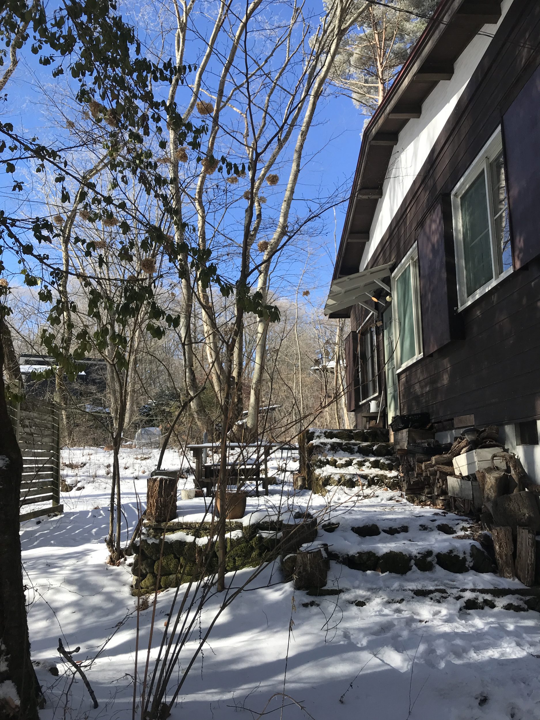 雪が積もる軽井沢の家