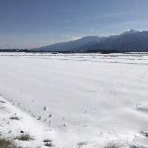 長野県茅野－雪の風景