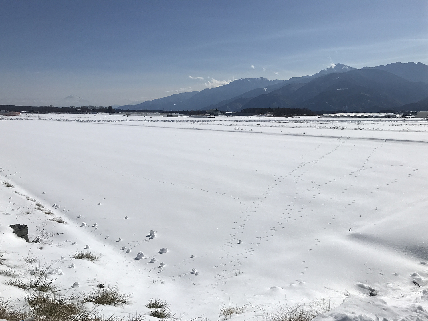 長野県茅野－雪の風景