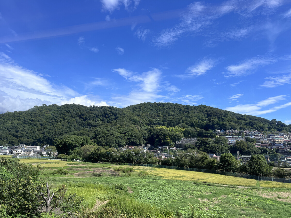 新幹線からの風景