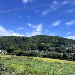 新幹線からの風景