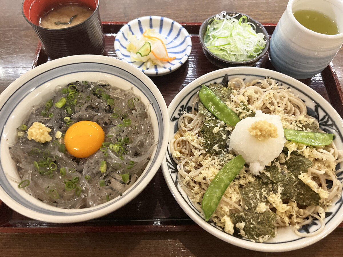 生しらす丼と磯おろし蕎麦
