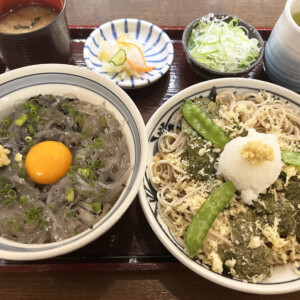 生しらす丼と磯おろし蕎麦