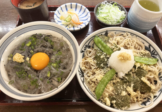 生しらす丼と磯おろし蕎麦