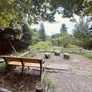 井之頭公園
